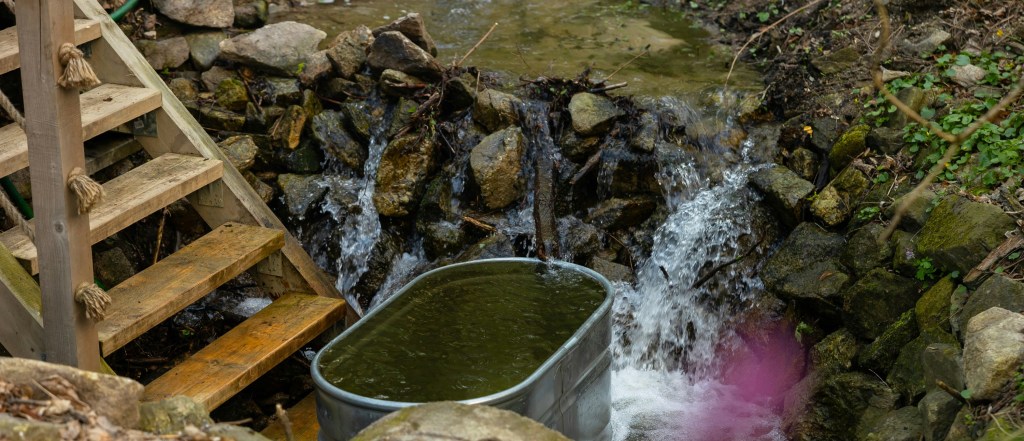 Cold Plunges in Cold Weather: Is November the Best Time to Start?